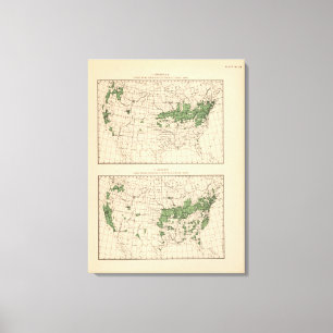 175 Cherries, grapes, principal regions Canvas Print