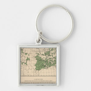 176 Peaches, nectarines, apricots Keychain