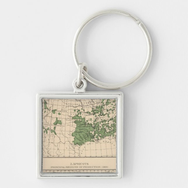 176 Peaches, nectarines, apricots Keychain (Front)
