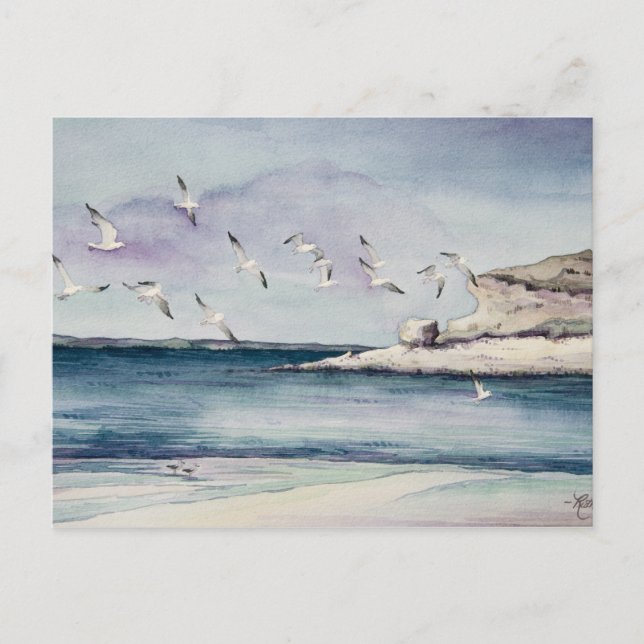 1774 Mouettes à Sandy Beach Carte postale (Devant)