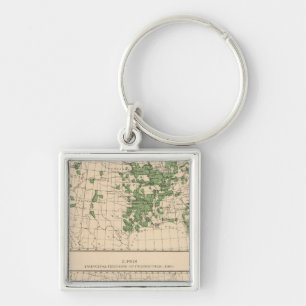 177 Plums, prunes, figs, principal regions Keychain