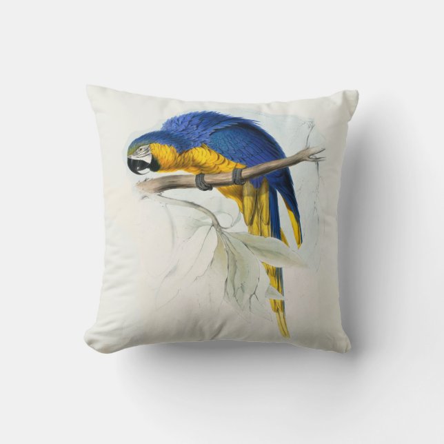 #17-Blue & yellow maccaw Throw Pillow (Front)