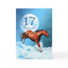 17 years old birthday card with spirit horse