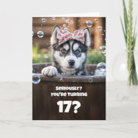 17th Birthday Cute and Funny Husky Tub