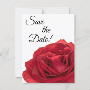 1822-Red Roses Postcard