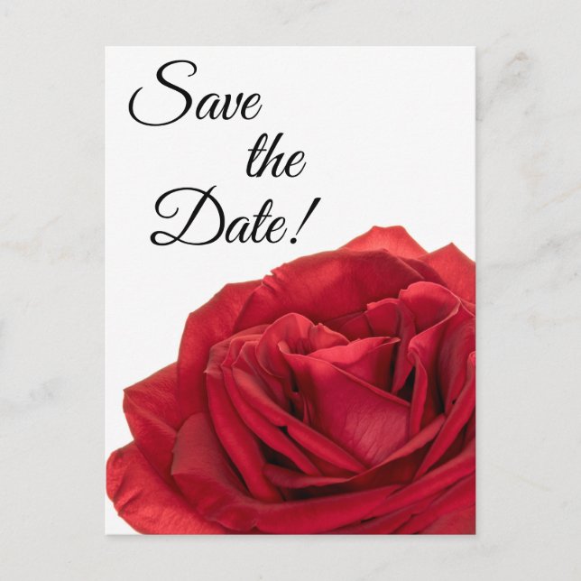 1822-Red Roses Postcard (Front)