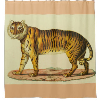 1824 tiger print