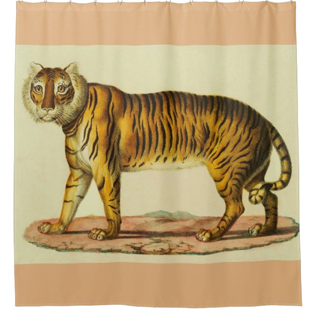 1824 tiger print (Front)