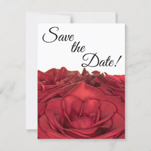 1840-Red Roses Postcard