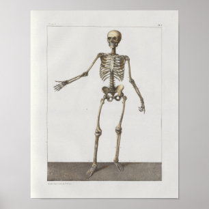 1867 Squelette os Anatomie Vintage Impression Médi