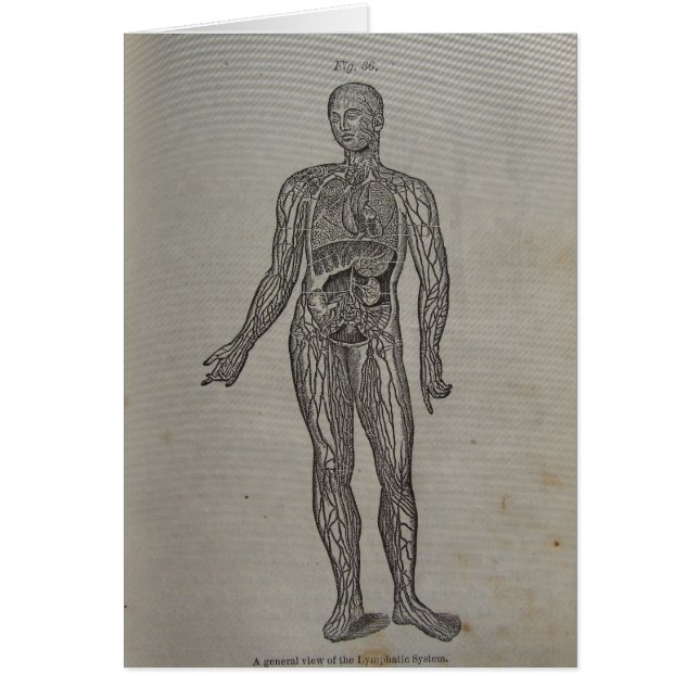 1875 Medical Book Diagram (Front)