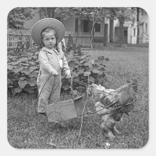 1880's Adorable Girl and Rooster Cart in Garden Square Sticker