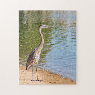1884-Grand Héron bleu au puzzle de Shore