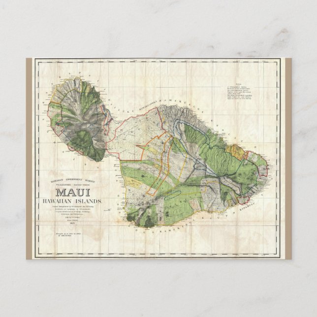 1885 De Witt Alexander Map of Maui, Hawaii Postcard (Front)