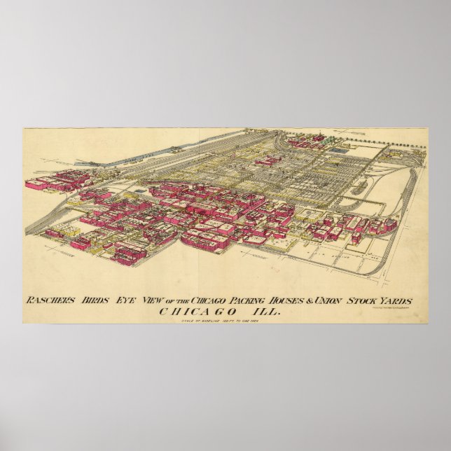 1890 Map of Chicago's Meatpacking District Poster (Front)