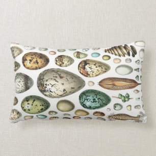 1897 ANIMAL EGGS from Meyers Konversations-Lexikon Lumbar Pillow