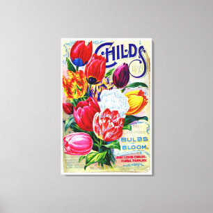 1899 John Lewis Childs Horticulture Floral Vintage Canvas Print