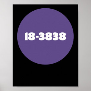 18-3838  POSTER