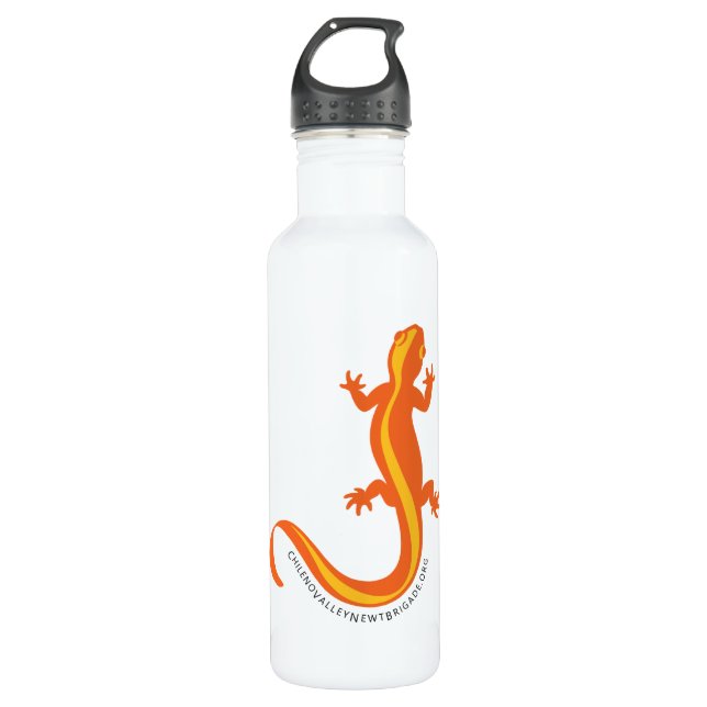 18 oz Stainless Steel water bottle CVNB (Front)
