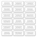 18 Recipient Name Shipping Address Labels<br><div class="desc">Sometimes writing all those individual addresses with a pen can be tedious but these address labels can be customized with each recipient's of your  invitation address or if you want to use as your return address,  simply copy and paste the first address you edit</div>