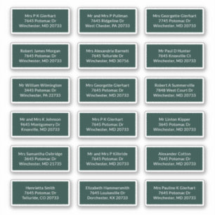 18 Recipient Name Wedding Mailing Address Labels