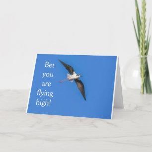 **18e anniversaire HUMOUR d'OISEAU** Carte d'anniv