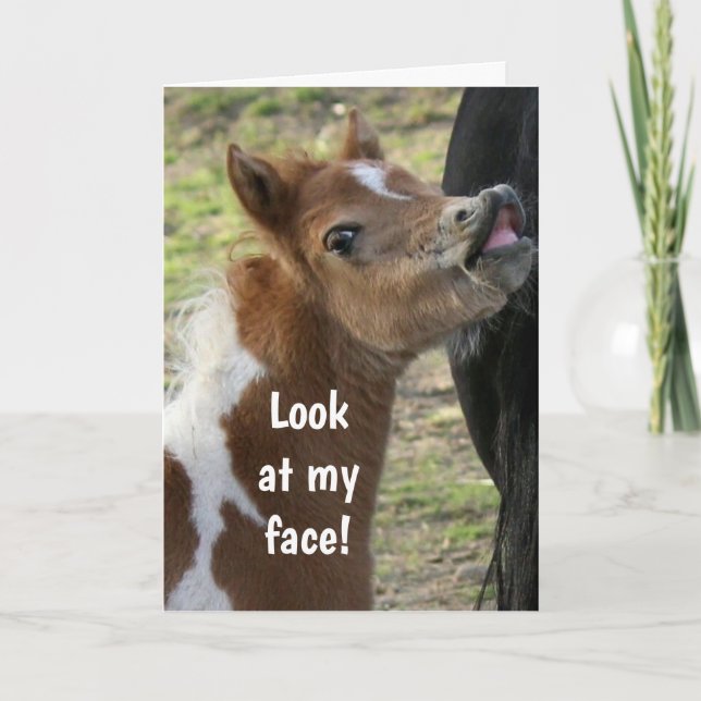 **18th BIRTHDAY** SURPIRSED PONY Card (Front)