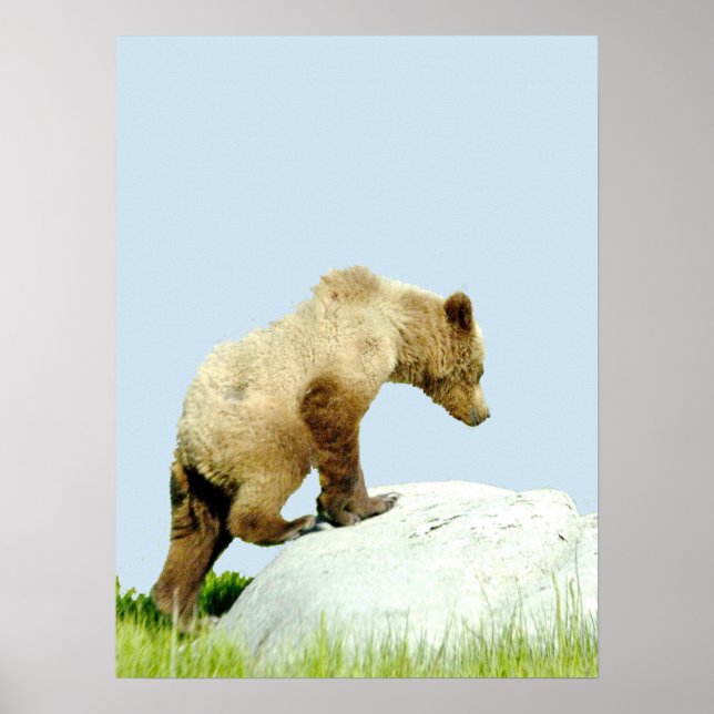 18x24 Poster Papier (Matte) de grizzli (Devant)