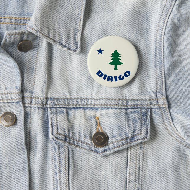 1901 Maine Flag Pin - Dirigo Edition (In Situ)