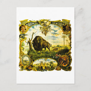 1901 Pan American Expo Buffalo NY Indigenous Motif Postcard