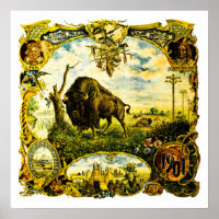1901 Pan American Expo Buffalo NY Victorian Bison