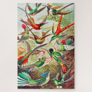 1904 hummingbirds print jigsaw puzzle