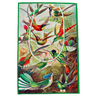 1904 hummingbirds print medium gift bag