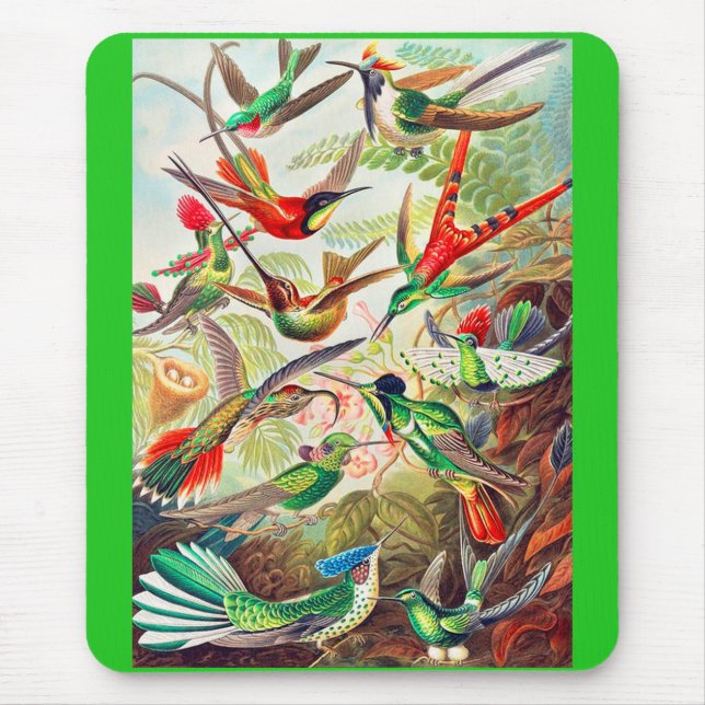 1904 hummingbirds print mouse pad (Front)