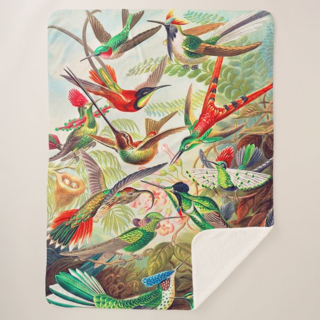 1904 hummingbirds print sherpa blanket (Front)
