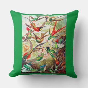 1904 hummingbirds print throw pillow