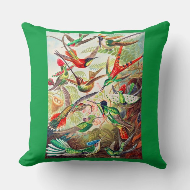 1904 hummingbirds print throw pillow (Front)
