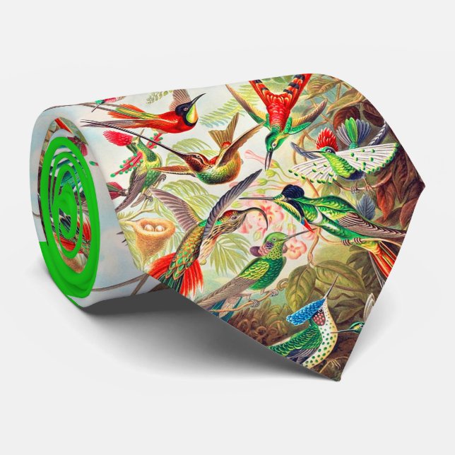 1904 hummingbirds print tie (Rolled)