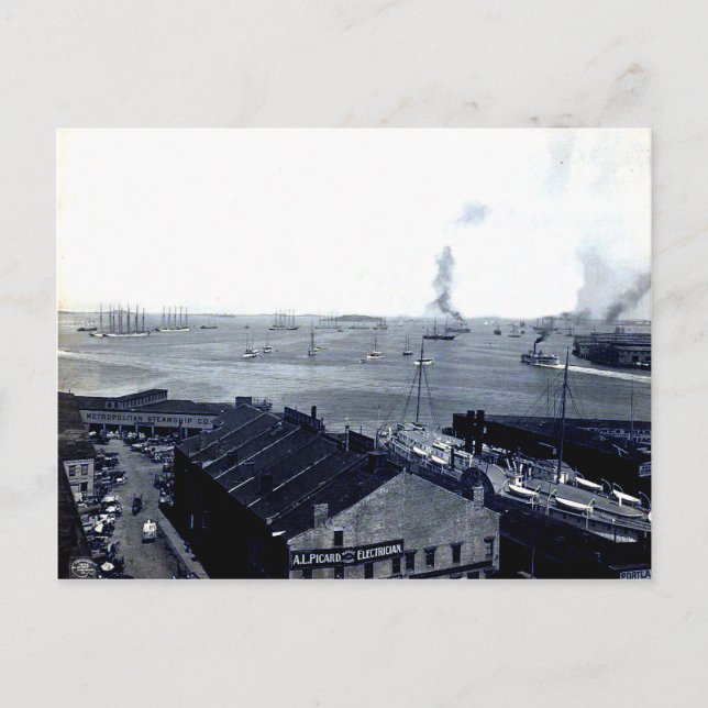 1906 Boston Harbour Postcard (Front)