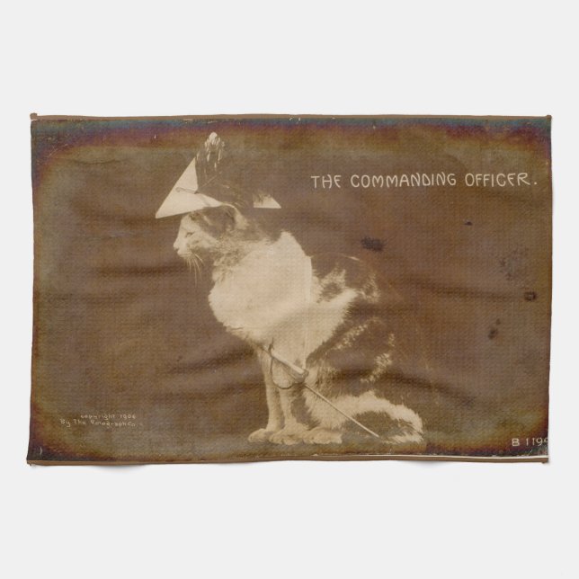 1906 The Commanding Officer dressed cat RPPC Kitchen Towel (Horizontal)