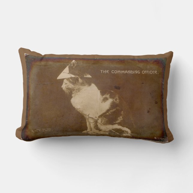1906 The Commanding Officer dressed cat RPPC Lumbar Pillow (Front)