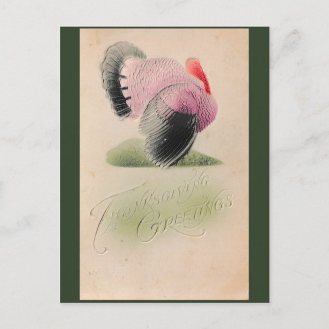 1907 Vintage Thanksgiving Pink and Grey Turkey Postcard (Front)