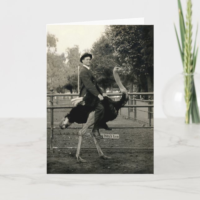 1910 Ostrich Riding Card (Front)