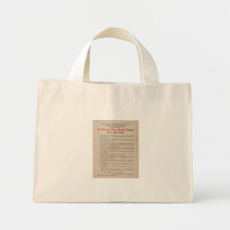 1914 NYC Breastfeeding Advocacy PSA Mini Tote Bag
