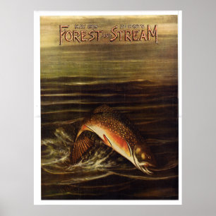 1919  Forest and Stream Poster