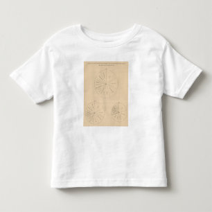 191 Value manufactured products 1880-1900 Toddler T-shirt