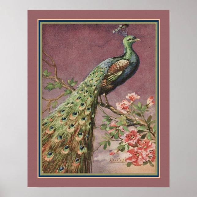 1920's Art Deco Peacock by Carlo Chiostri Poster (Front)