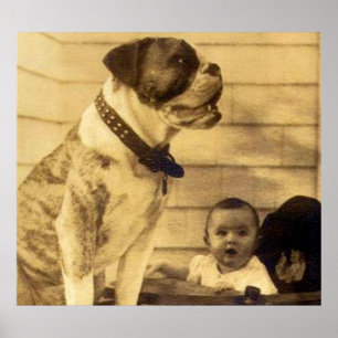 1920s pitbull guards baby poster