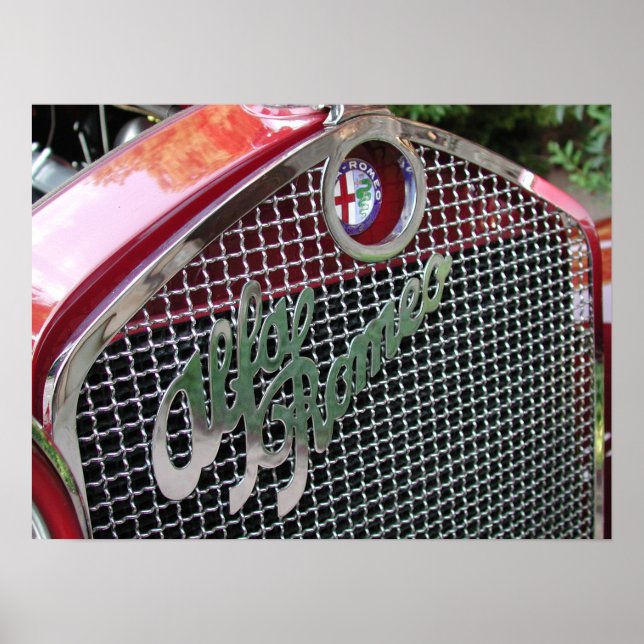 1929 Alfa Romeo 1750 Roadster Poster (Front)