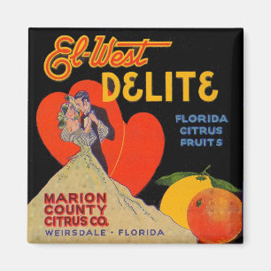 1930s art deco El-West Delite Florida Citrus Fruit Magnet